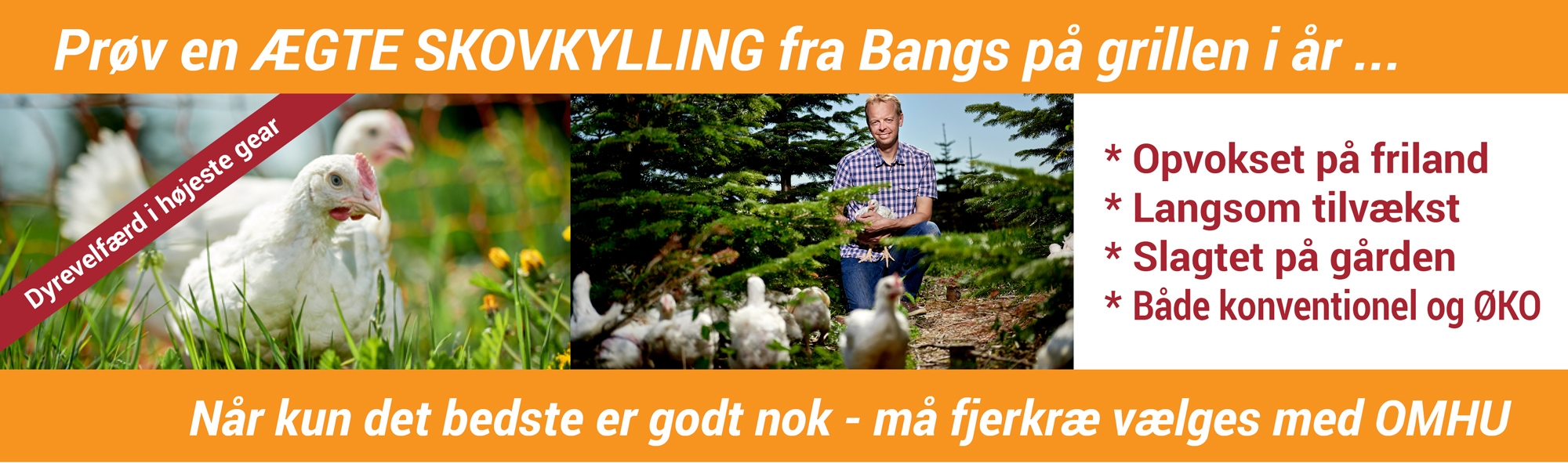 Vitaminer og mineraler Vitaminer og mineraler