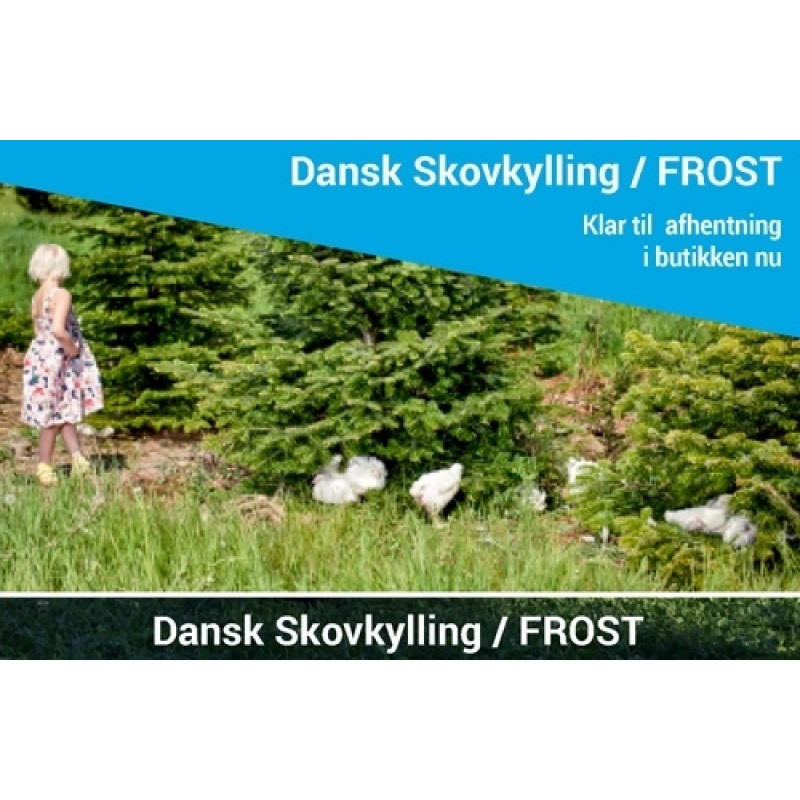 Dansk Skovkylling - FROST