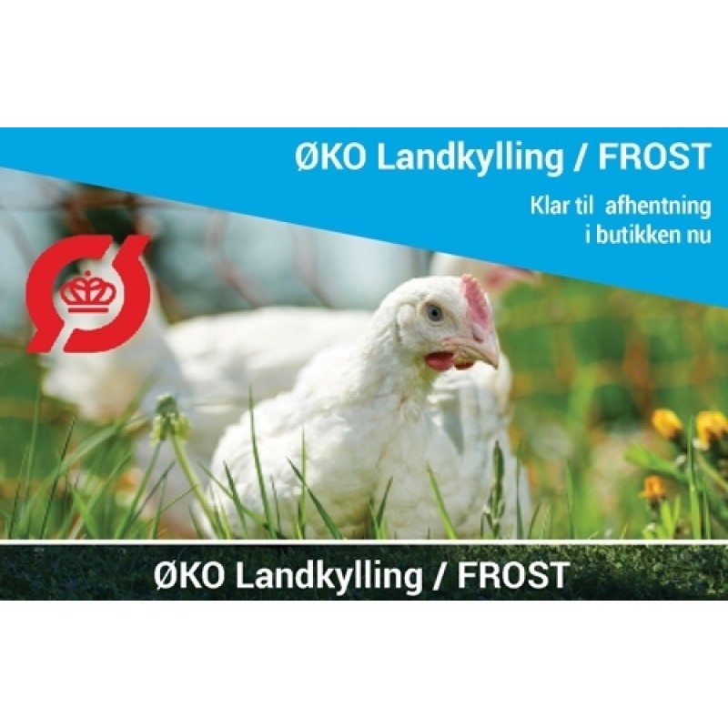 ØKO Frilandskylling - FROST