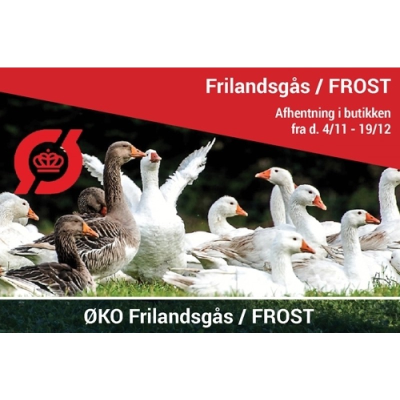 ØKOLOGISK Frilandsgås - UDSOLGT 2020