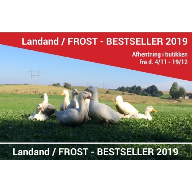 Dansk Landand - FÅ TILBAGE