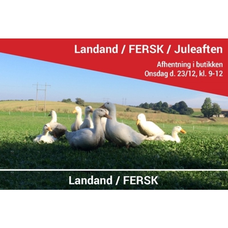 Dansk Landand - Fersk - udsolgt
