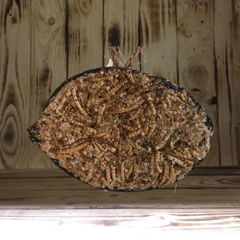 Kokosnød med melorme