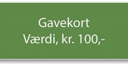 Gavekort-20