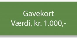 Gavekort-20