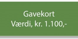 Gavekort-20