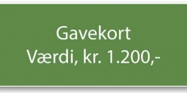Gavekort-20