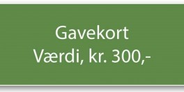 Gavekort-20