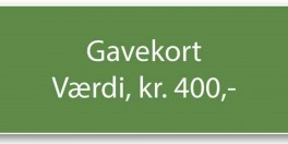Gavekort-20