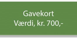 Gavekort-20