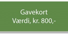 Gavekort-20