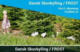 DanskSkovkyllingFROST-20