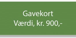 Gavekort-20