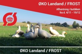 KOLOGISKDanskLandandFTILBAGE-20