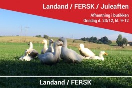 DanskLandandFerskudsolgt-20