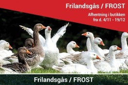 FrilandsgsUDSOLGT2020-20