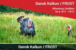 DanskKalkun-20