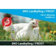 ØKO Frilandskylling - FROST