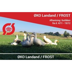 ØKOLOGISK Dansk Landand - FÅ TILBAGE