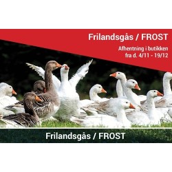 Frilandsgås - UDSOLGT 2020