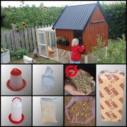 Familie Startpakke - Økologisk