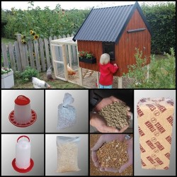 Familie Startpakke - Standard