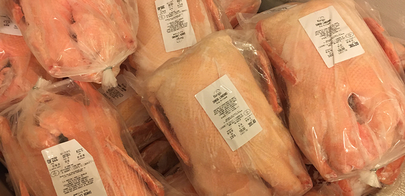 Ænder-i-fryser %C3%86nder-i-fryser