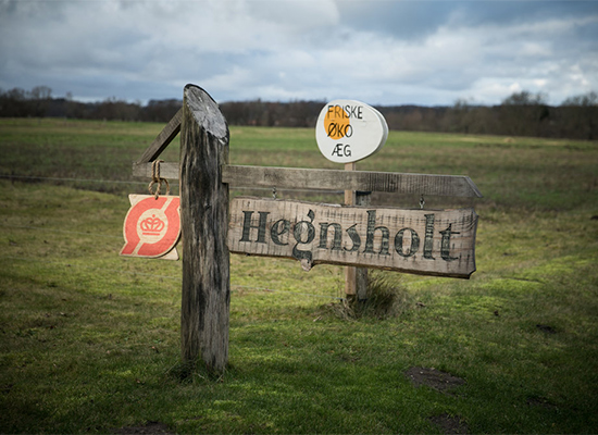 Hegnsholt Hegnsholt