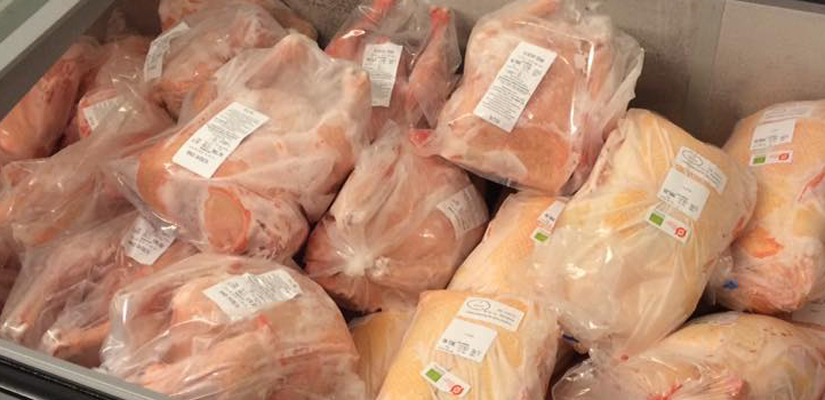 Kyllinger-i-fryser Kyllinger-i-fryser