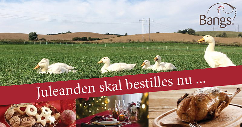 Bestil juleanden nu