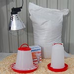 Startpakke til kyllinger Startpakke til kyllinger